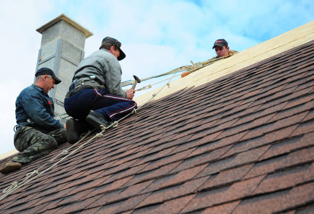 Quick and Trustworthy Emergency Roof Repair Services in Shelbina, MO